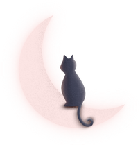 Cat on the Moon